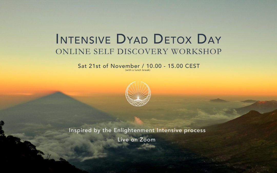 INTENSIVE DYAD DETOX DAY: ONLINE SELF DISCOVERY WORKSHOP
